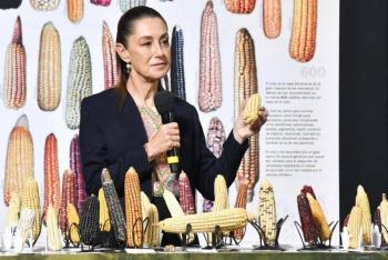 Gobierno federal impulsa programa para ordenar producci&oacute;n de ma&iacute;z y garantizar precios justos
