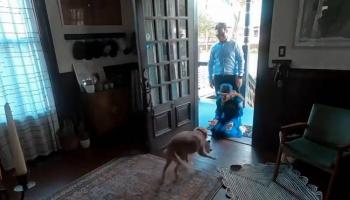 Astronauta Christina Hammock Koch comparte emotivo reencuentro con su perro tras regresar a la Tierra
