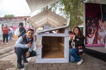 Tlalpan impulsa servicios veterinarios gratuitos y promueve el bienestar animal