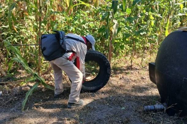 Querétaro reporta un caso de dengue en lo que va de 2026