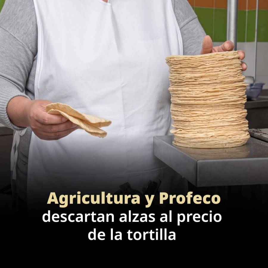 Agricultura y Profeco descartan alza en precio de la tortilla y llaman a evitar rumores