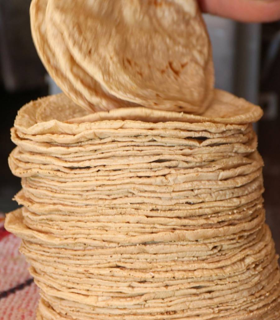 Alza en la tortilla golpea al norte del país y anticipan más incrementos