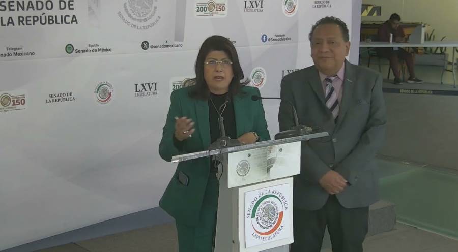 Senadora Mariela Gutiérrez admite sacrificio de miles de perros callejeros en Tecámac