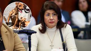 Senadora de Morena reconoce sacrificio de 10 mil perros callejeros durante sus presidencias en Tec&aacute;mac