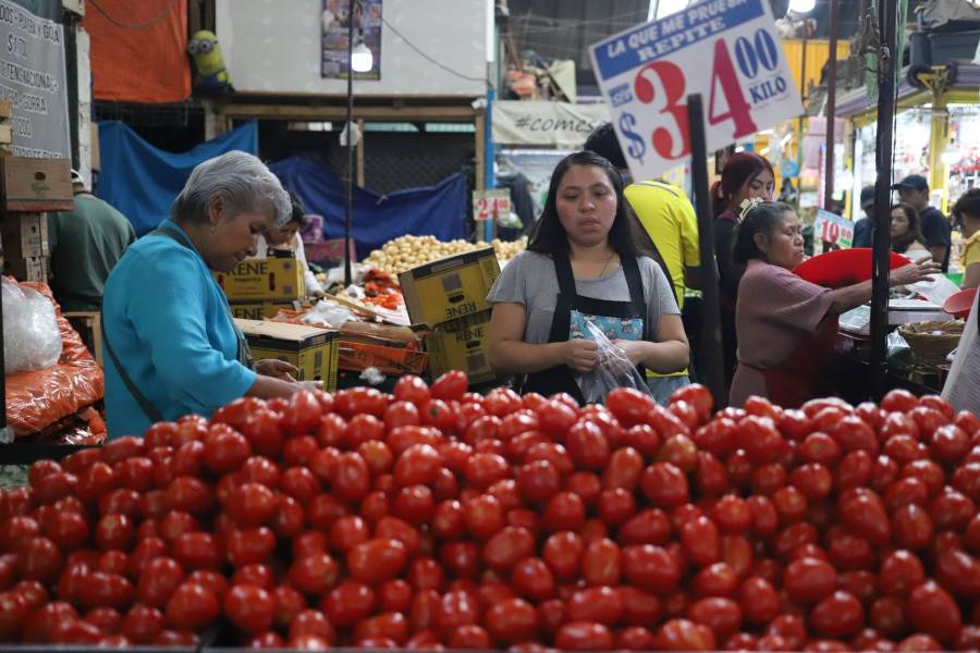 Precio del jitomate alcanza hasta 98.50 pesos el kilo; Profeco prevé estabilización