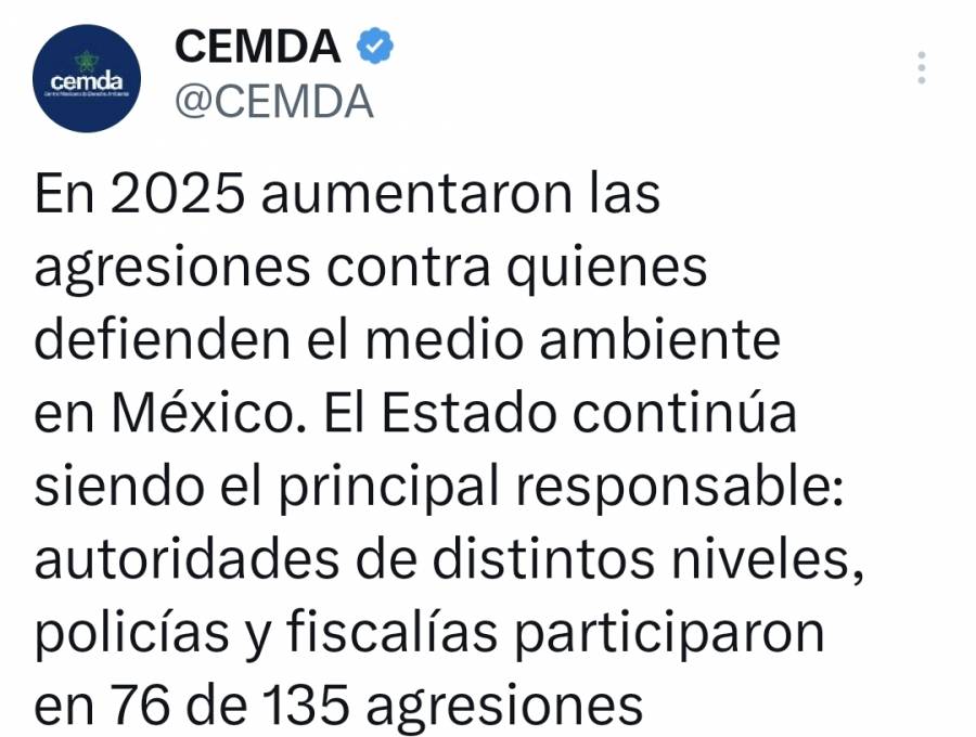 Aumentan agresiones contra defensores del medio ambiente en México; el Estado es señalado como principal responsable