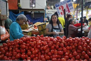Precio del jitomate alcanza hasta 98.50 pesos el kilo; Profeco prev&eacute; estabilizaci&oacute;n