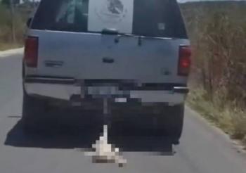 Municipio de Quer&eacute;taro denuncia caso de crueldad animal tras difusi&oacute;n de video