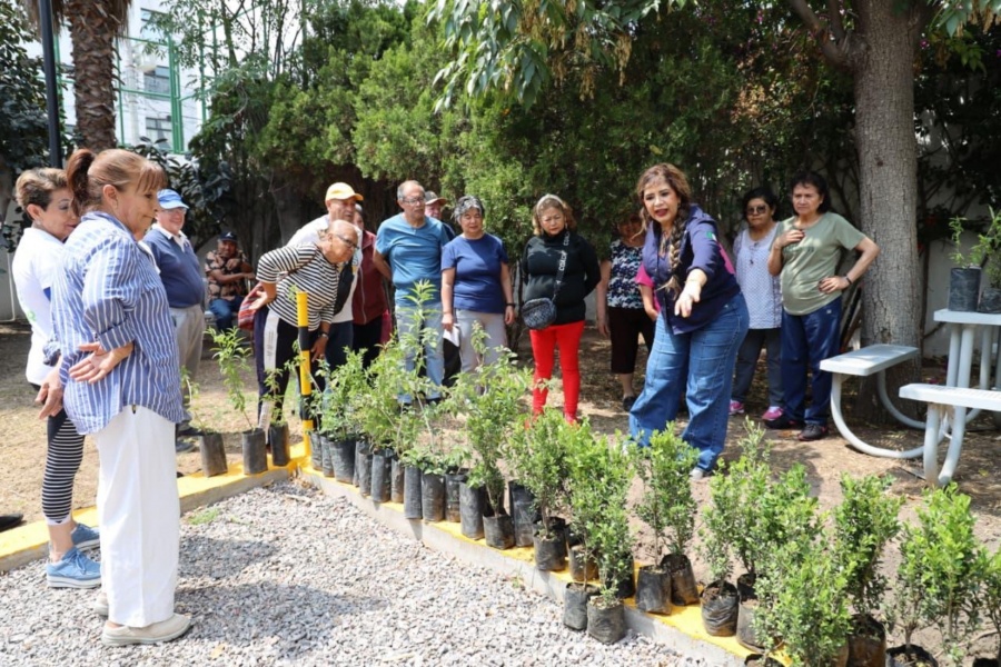 DIF Estatal organiza jornada de reforestaci&oacute;n con adultos mayores en el marco del D&iacute;a Mundial de la Tierra