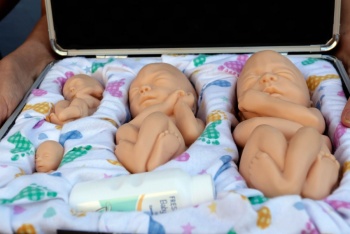 Proponen tipificar como delito el embarazo infantil provocado por adultos en San Luis Potos&iacute;