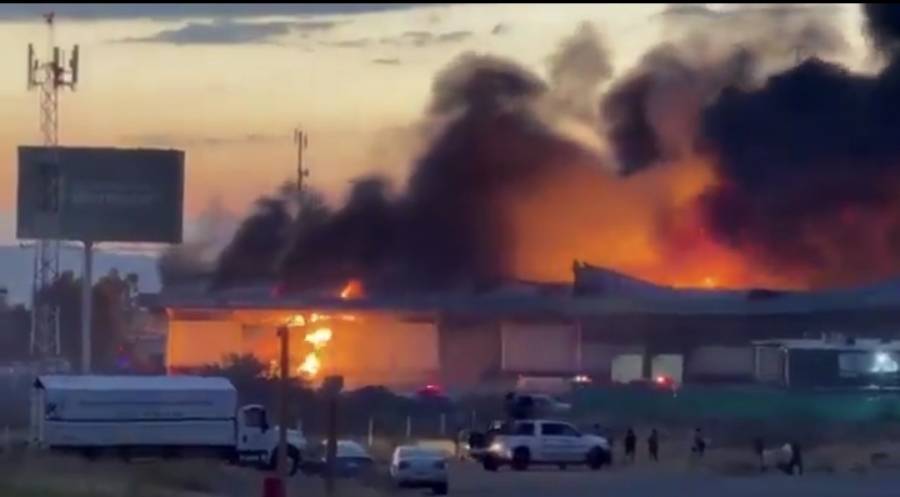 Investigan incendio en bodegas de Segalmex durante protesta de productores de frijol: presidenta