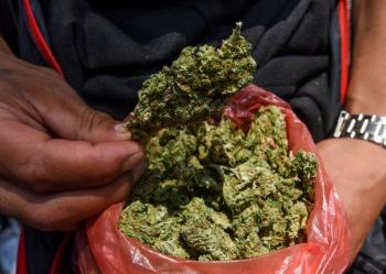 Gobierno interino de Trump reclasifica marihuana medicinal en Lista III