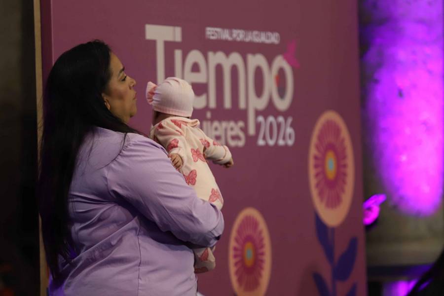 PAN propone ampliar a un a&ntilde;o la licencia de maternidad con goce de sueldo