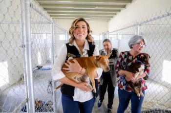 En Gobierno de Marina del Pilar, Baja California avanza como referente en protecci&oacute;n animal