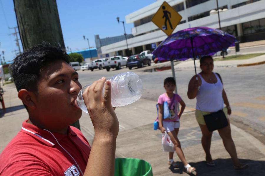 M&eacute;xico se prepara para la can&iacute;cula 2026; prev&eacute;n hasta 40 grados en estos estados