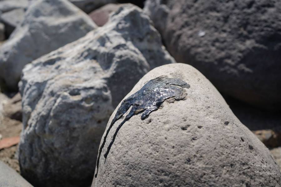 Persisten manchas de hidrocarburos en playas de Veracruz tras más de dos meses del derrame