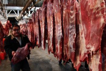 Porcicultura sonorense alcanza cifras r&eacute;cord en producci&oacute;n y comercio durante 2025
