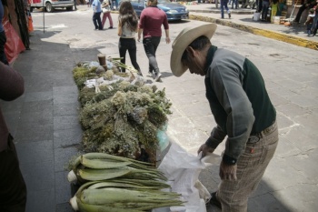 Zacatecas se ubica entre los 10 estados con mayor crecimiento econ&oacute;mico en 2025