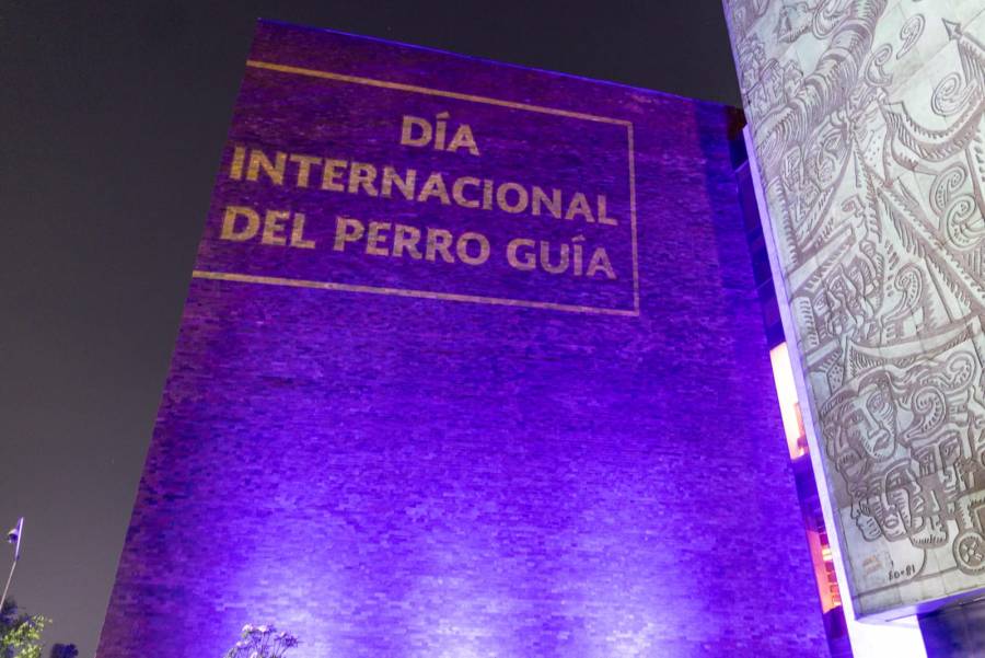C&aacute;mara de Diputados se ilumina en honor a los perros gu&iacute;a y promueven agenda de inclusi&oacute;n