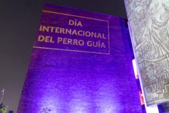 C&aacute;mara de Diputados se ilumina en honor a los perros gu&iacute;a y promueven agenda de inclusi&oacute;n