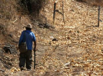 SDR abre convocatoria para apoyar con malla antigranizo a productores de Chihuahua