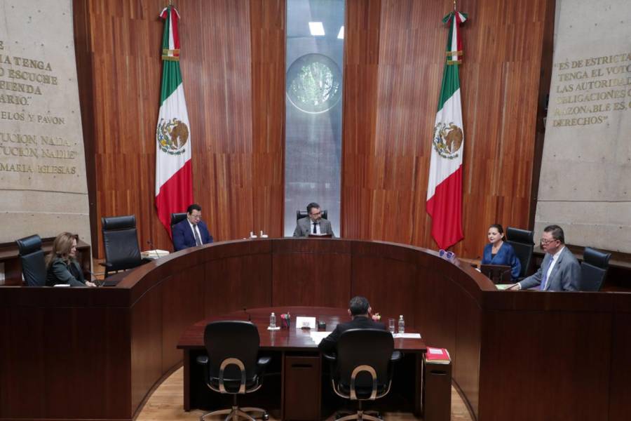 TEPJF avala inclusión de autoadscripción indígena y afromexicana en credencial para votar