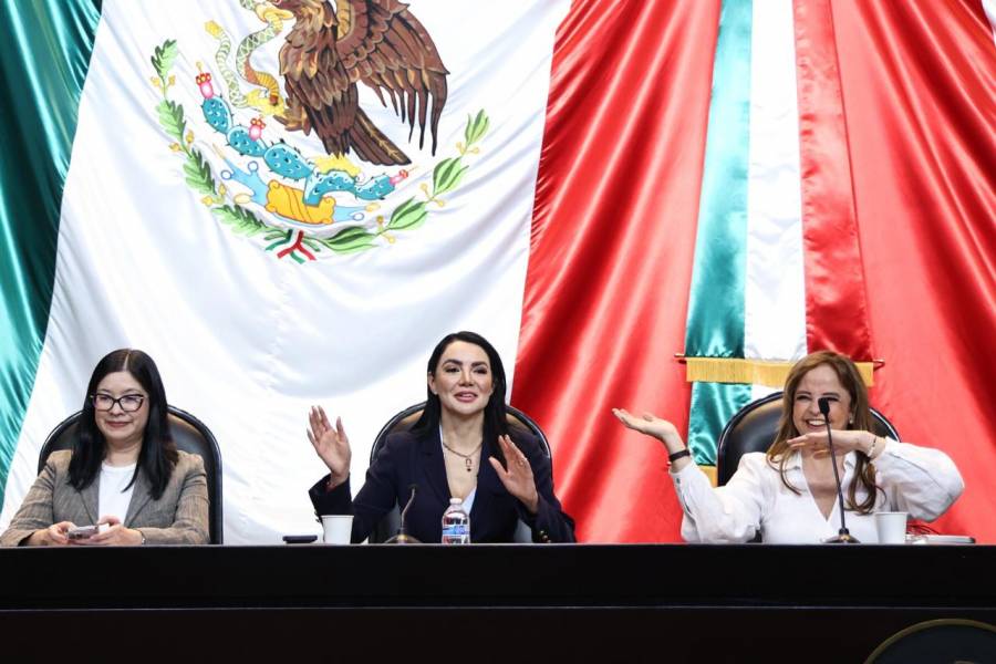 C&aacute;mara de Diputados anuncia campa&ntilde;a nacional por los derechos de la infancia y adolescencia