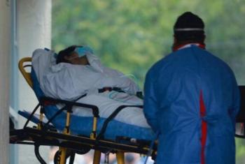 Chile mantiene alerta por aumento de hantavirus en 2026