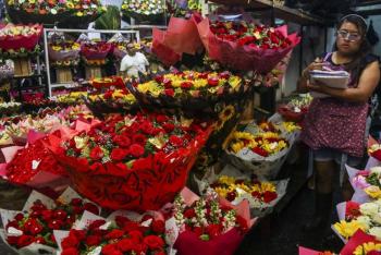 Edomex concentra la producci&oacute;n de flores para el D&iacute;a de las Madres en M&eacute;xico