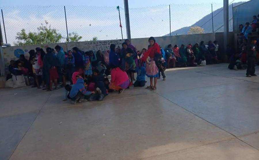 Mujeres indígenas de Guerrero denuncian abandono y ataques de Los Ardillos en video