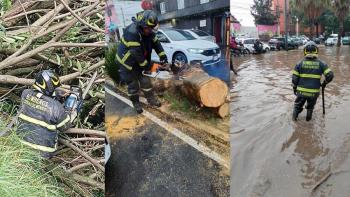Fuertes lluvias provocan inundaciones y ca&iacute;da de &aacute;rboles en varias alcald&iacute;as de la CDMX