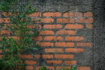 Millennials y Centennials cambian la hipoteca por la 