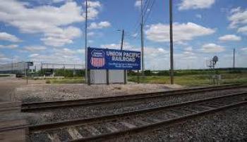 Identifican migrantes de Honduras y M&eacute;xico a muertos en Tren