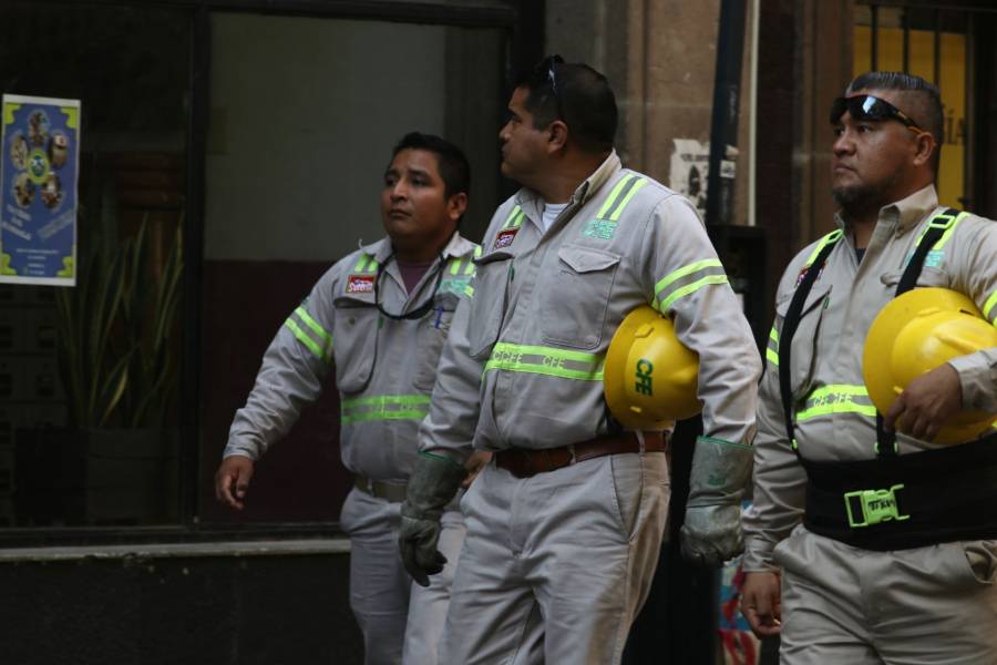 CFE atribuye a poda de palmera apag&oacute;n que afect&oacute; edificios p&uacute;blicos en Mexicali