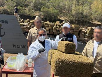 Marina y FGR destruyen m&aacute;s de 12 toneladas de marihuana asegurada en Baja California