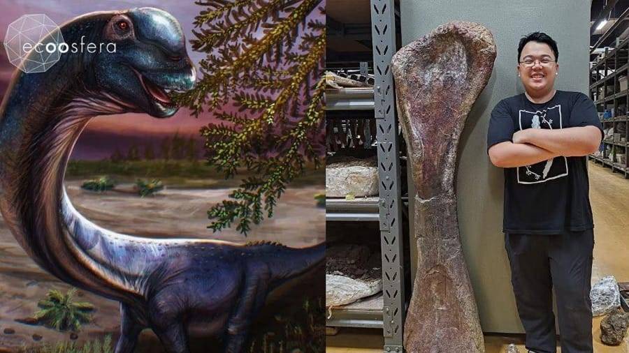 Descubren en Tailandia al dinosaurio más grande del sudeste asiático
