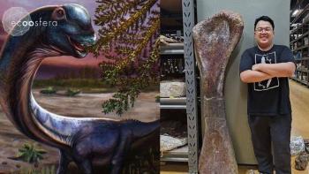 Descubren en Tailandia al dinosaurio m&aacute;s grande del sudeste asi&aacute;tico