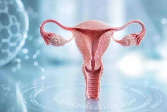 Una cirug&iacute;a menos agresiva gana espacio en c&aacute;ncer cervicouterino de bajo riesgo