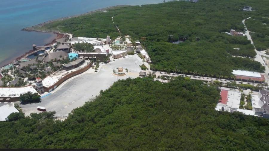 Semarnat rechaza proyecto Perfect Day de Royal Caribbean en Mahahual por impacto ambiental