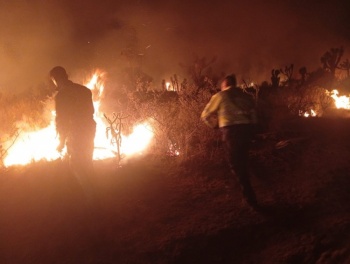 Liquidan incendio forestal en Villa de Cos tras afectar 800 hect&aacute;reas