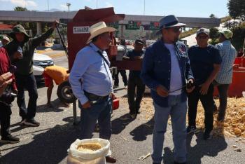 Productores de ma&iacute;z anuncian protestas en sedes del Mundial 2026