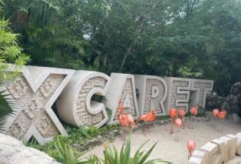 Latinoam&eacute;rica conquista IAAPA Brass Ring Awards con innovaci&oacute;n en parques y atracciones