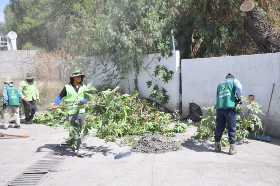 Soledad de Graciano S&aacute;nchez intensifica limpieza preventiva ante pron&oacute;stico de lluvias