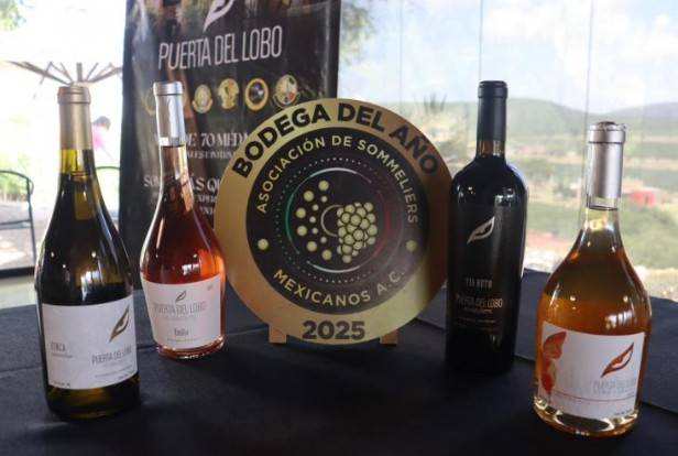 Puerta del Lobo anuncia vendimia “Blanco y Tinto” en El Marqu&eacute;s