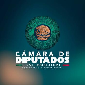 Retiran dictamen sobre nulidad por intervenci&oacute;n extranjera para abrir di&aacute;logo