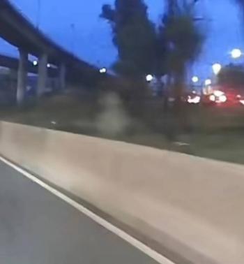 Lamento captado en el Puente de la Concordia revive memoria de tragedia en CDMX