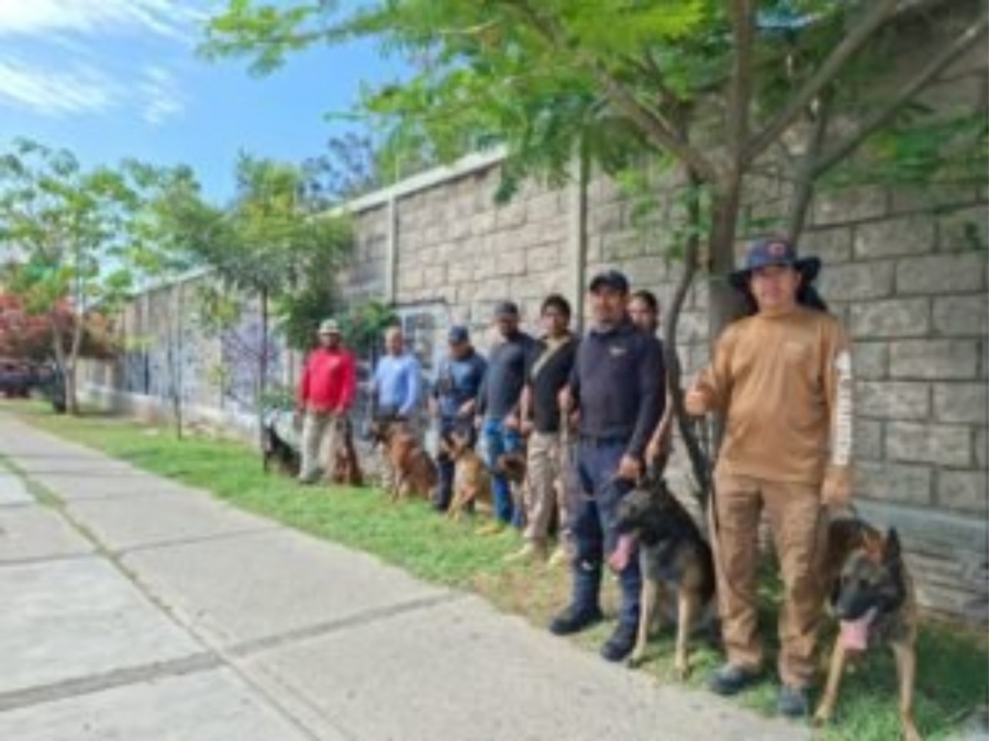 Capacitan a unidad canina de Coyuca de Ben&iacute;tez en b&uacute;squeda y rescate en estructuras colapsadas