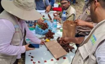 INIFAP capacita a productores de achiote en Campeche para mejorar calidad gen&eacute;tica