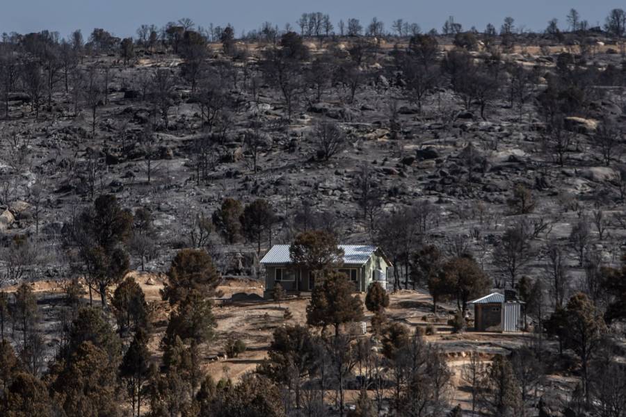 Incendio forestal en Arivechi alcanza 55% de control y afecta más de 1,500 hectáreas
