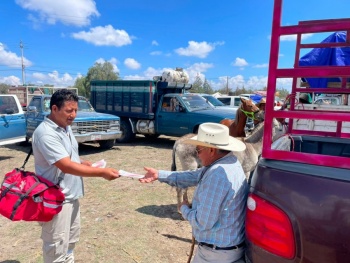 SADR refuerza prevenci&oacute;n y vigilancia contra el gusano barrenador en Puebla